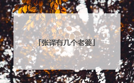 张译有几个老婆