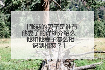 张赫的妻子是谁有他妻子的详细介绍么 他和他妻子怎么相识到相恋?