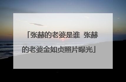 张赫的老婆是谁 张赫的老婆金如贞照片曝光