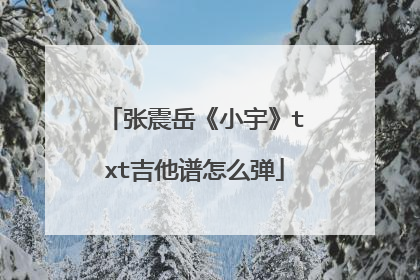 张震岳《小宇》txt吉他谱怎么弹