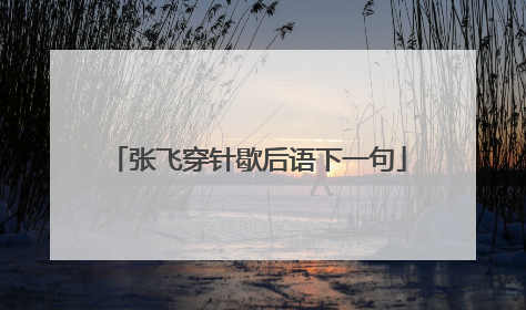 张飞穿针歇后语下一句