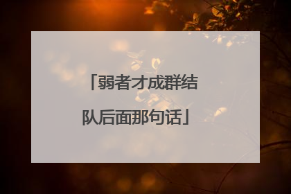 弱者才成群结队后面那句话