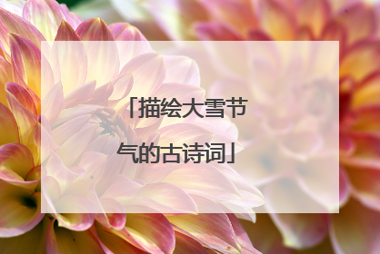 描绘大雪节气的古诗词