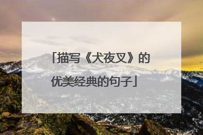 描写《犬夜叉》的优美经典的句子