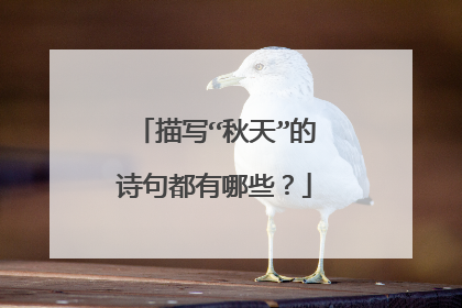 描写“秋天”的诗句都有哪些？