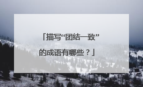 描写“团结一致”的成语有哪些？