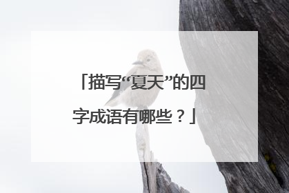 描写“夏天”的四字成语有哪些？