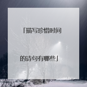 描写珍惜时间的诗句有哪些