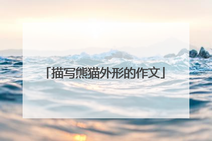 描写熊猫外形的作文