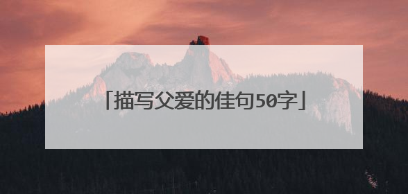 描写父爱的佳句50字