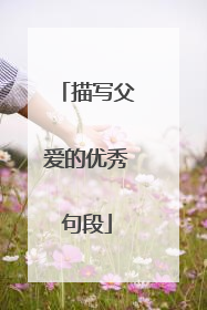 描写父爱的优秀句段