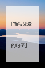 描写父爱的句子
