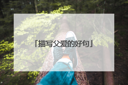 描写父爱的好句