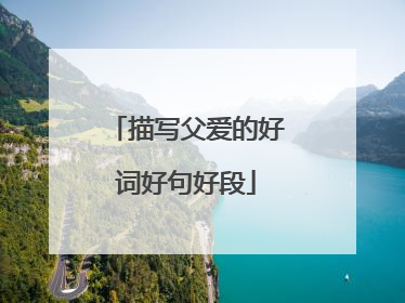 描写父爱的好词好句好段