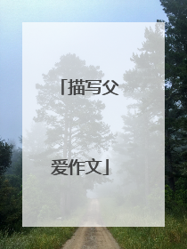 描写父爱作文