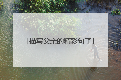 描写父亲的精彩句子