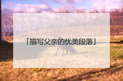 描写父亲的优美段落