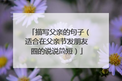 描写父亲的句子（适合在父亲节发朋友圈的说说简短）