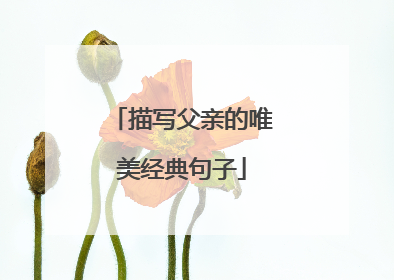 描写父亲的唯美经典句子