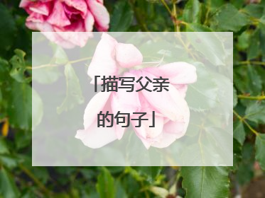 描写父亲 的句子