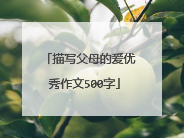 描写父母的爱优秀作文500字