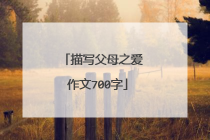 描写父母之爱作文700字