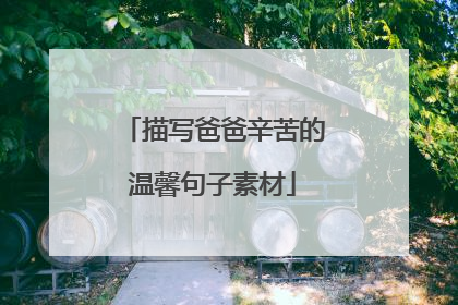 描写爸爸辛苦的温馨句子素材