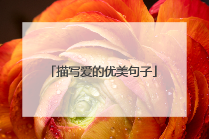 描写爱的优美句子
