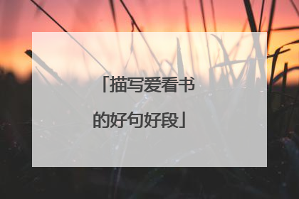 描写爱看书的好句好段