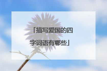 描写爱国的四字词语有哪些