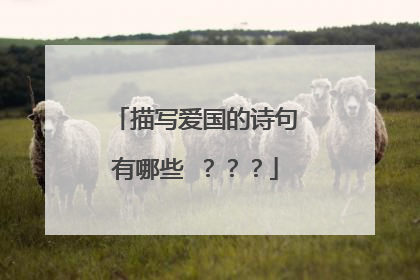描写爱国的诗句有哪些 ？？？