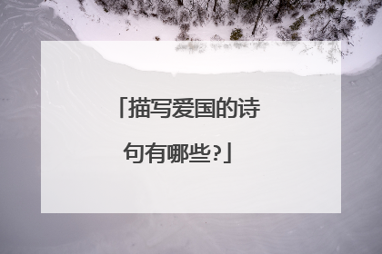 描写爱国的诗句有哪些?