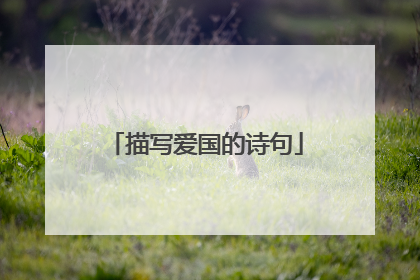 描写爱国的诗句