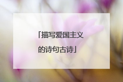 描写爱国主义的诗句古诗