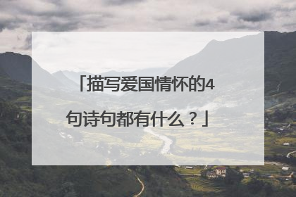 描写爱国情怀的4句诗句都有什么？