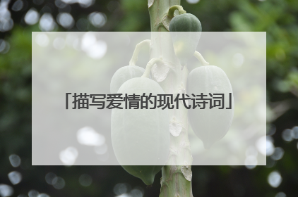 描写爱情的现代诗词