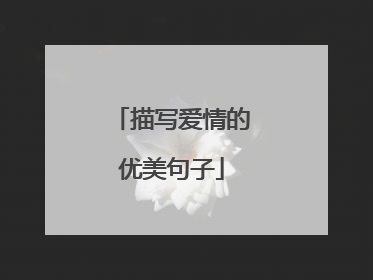 描写爱情的优美句子