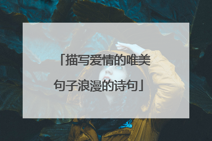 描写爱情的唯美句子浪漫的诗句