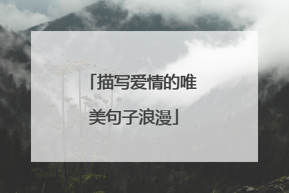 描写爱情的唯美句子浪漫