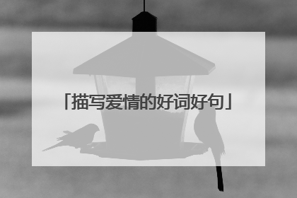 描写爱情的好词好句