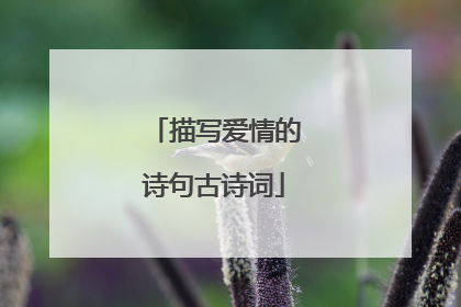 描写爱情的诗句古诗词