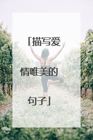 描写爱情唯美的句子