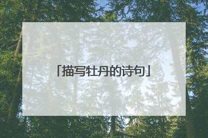 描写牡丹的诗句