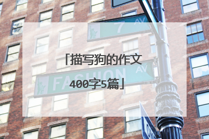描写狗的作文400字5篇