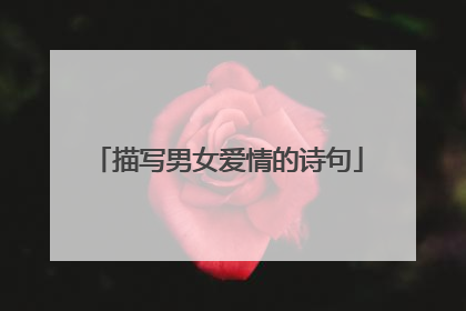 描写男女爱情的诗句