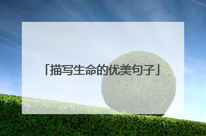 描写生命的优美句子