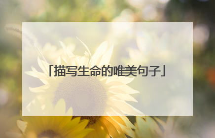 描写生命的唯美句子
