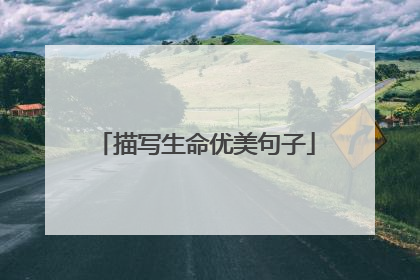 描写生命优美句子