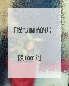 描写眼睛的片段100字