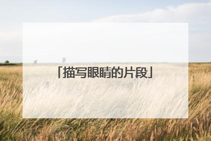 描写眼睛的片段